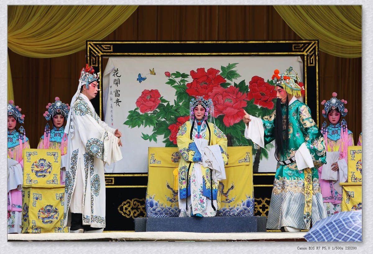 甲辰年豫剧秦香莲后传【2024-61】