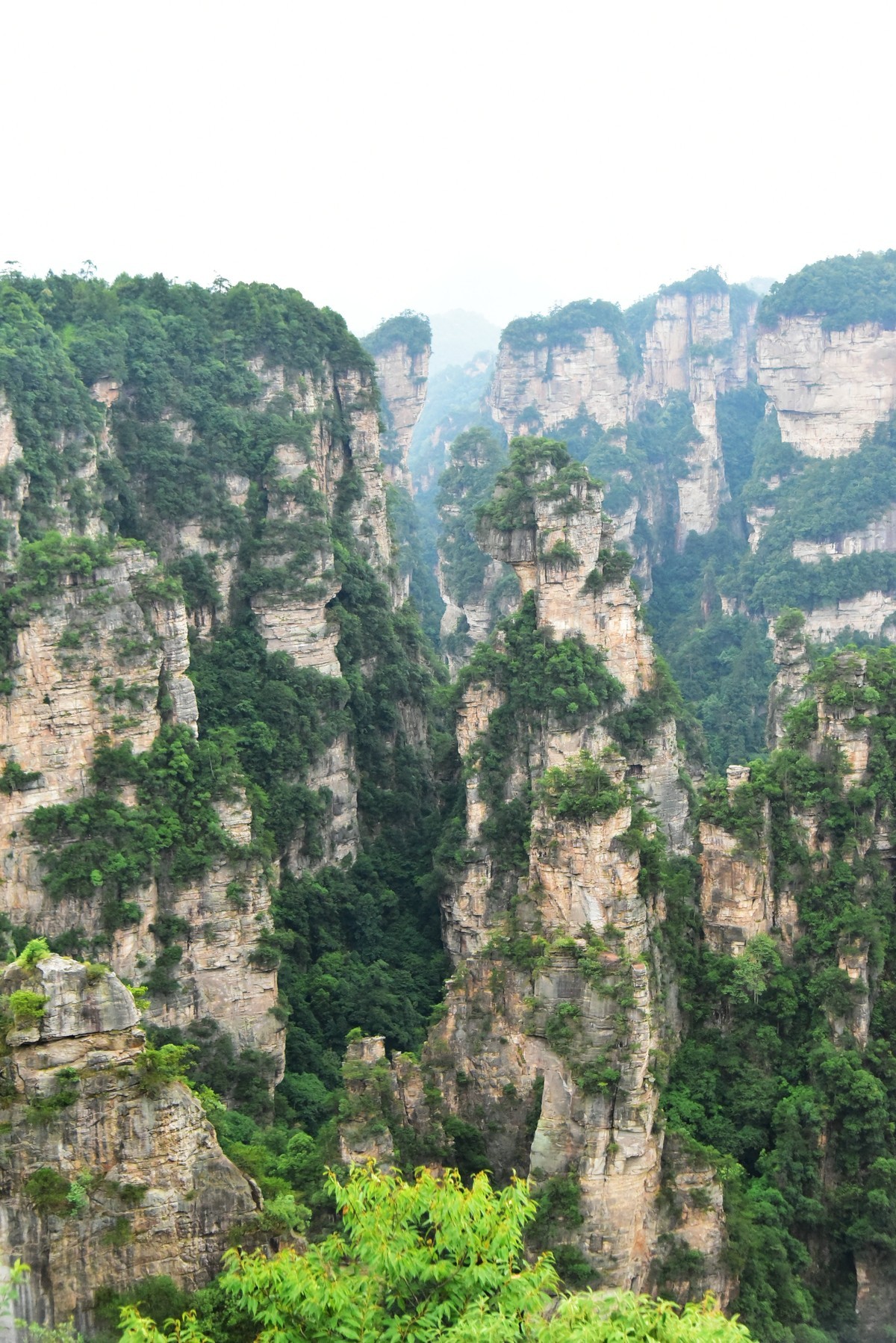 湖北张家界——天工神笔画丹青，遗落凡间醉苍生