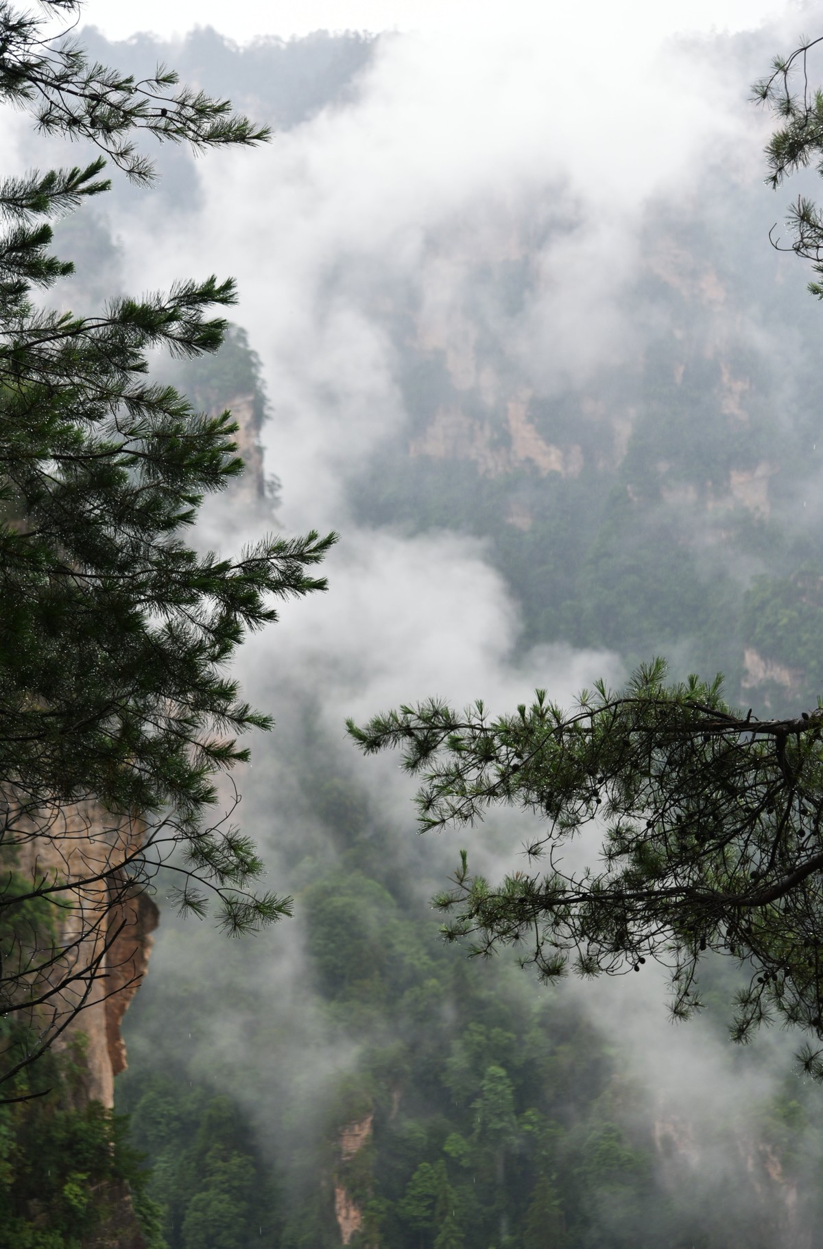 湖北张家界——天工神笔画丹青，遗落凡间醉苍生
