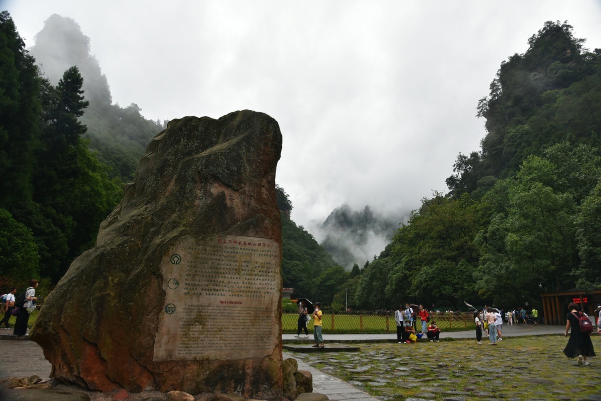 湖北张家界——天工神笔画丹青，遗落凡间醉苍生