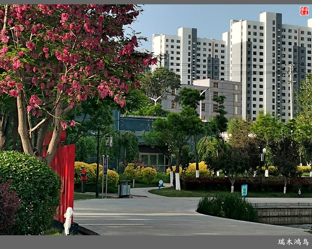 【红签到好雪】28.丝路河畔