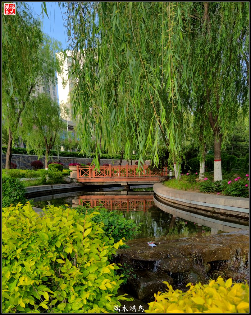 【红签到好雪】28.丝路河畔