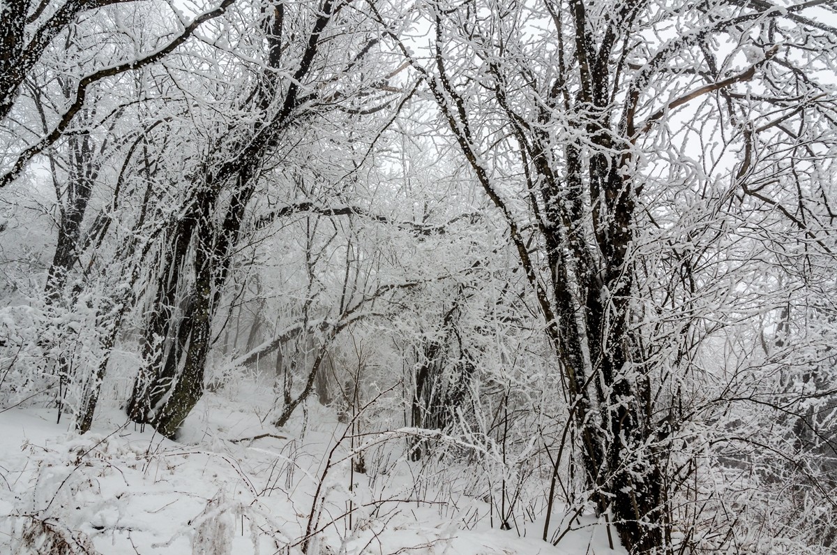 春节游汉中龙头山随拍二
