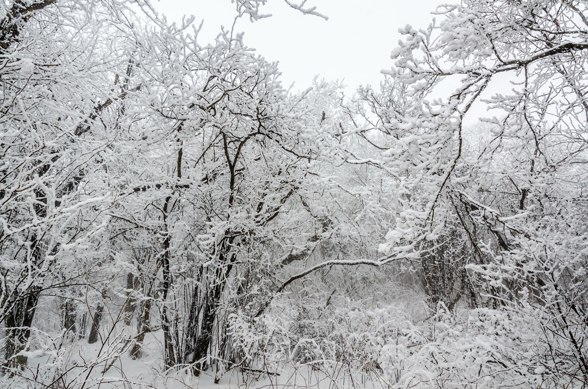 春节游汉中龙头山随拍二