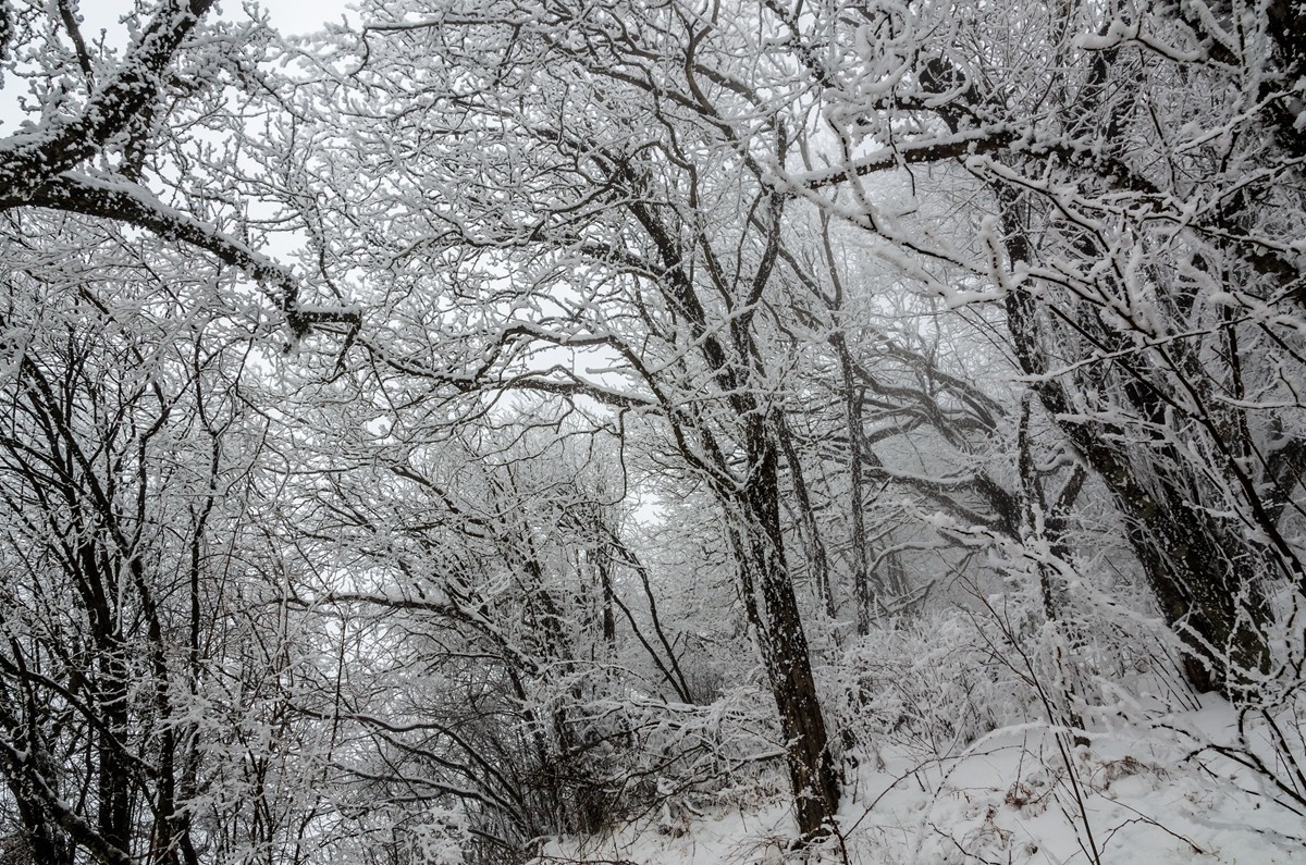春节游汉中龙头山随拍二
