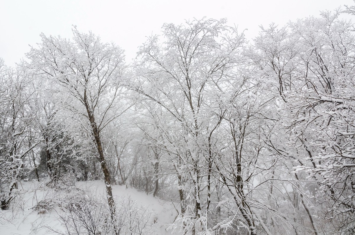 春节游汉中龙头山随拍二