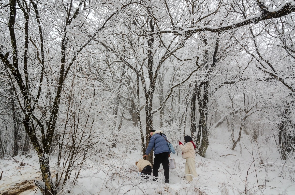 春节游汉中龙头山随拍二