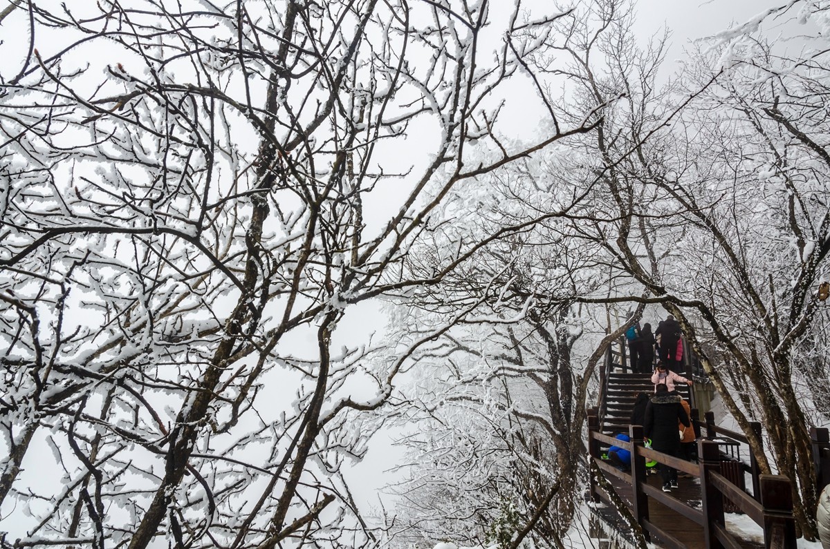 春节游汉中龙头山随拍二