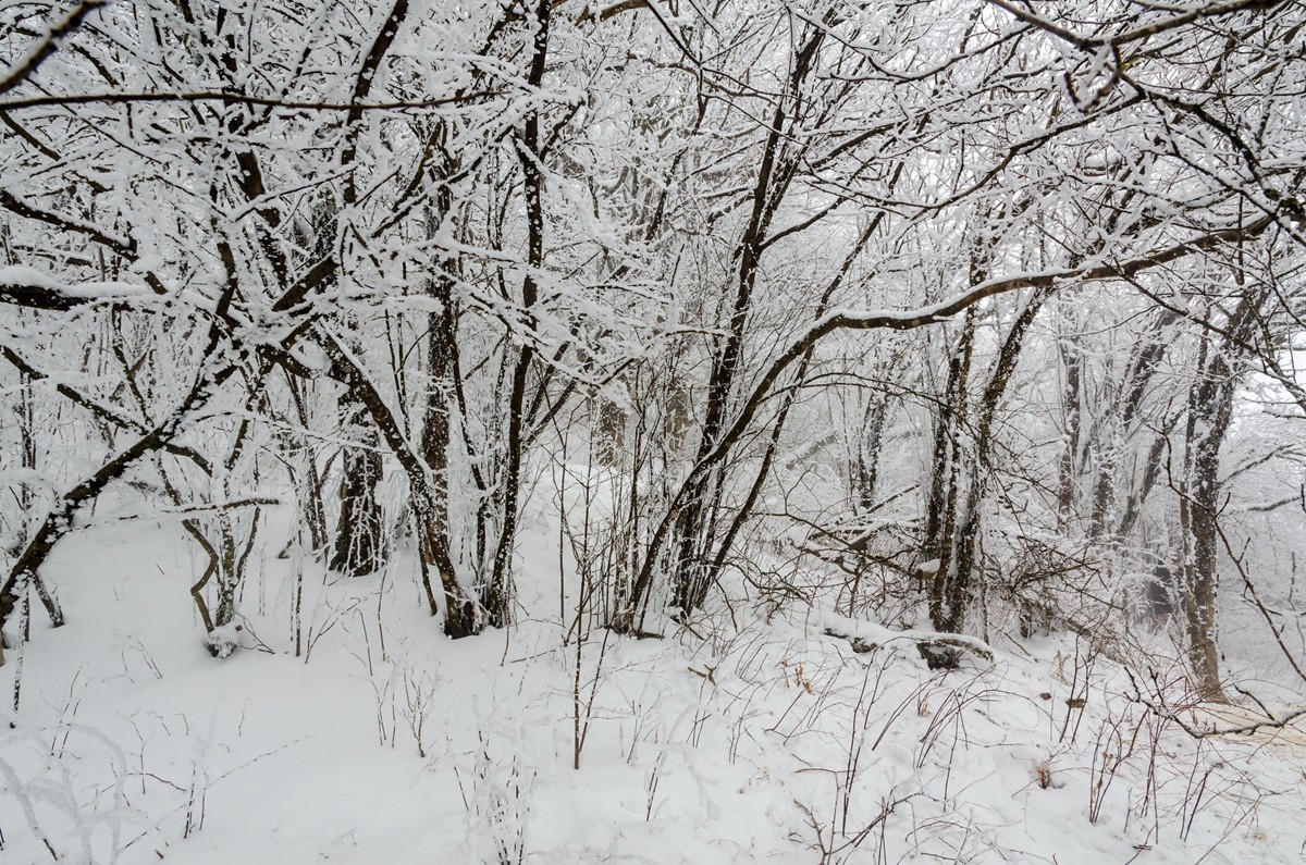 春节游汉中龙头山随拍二