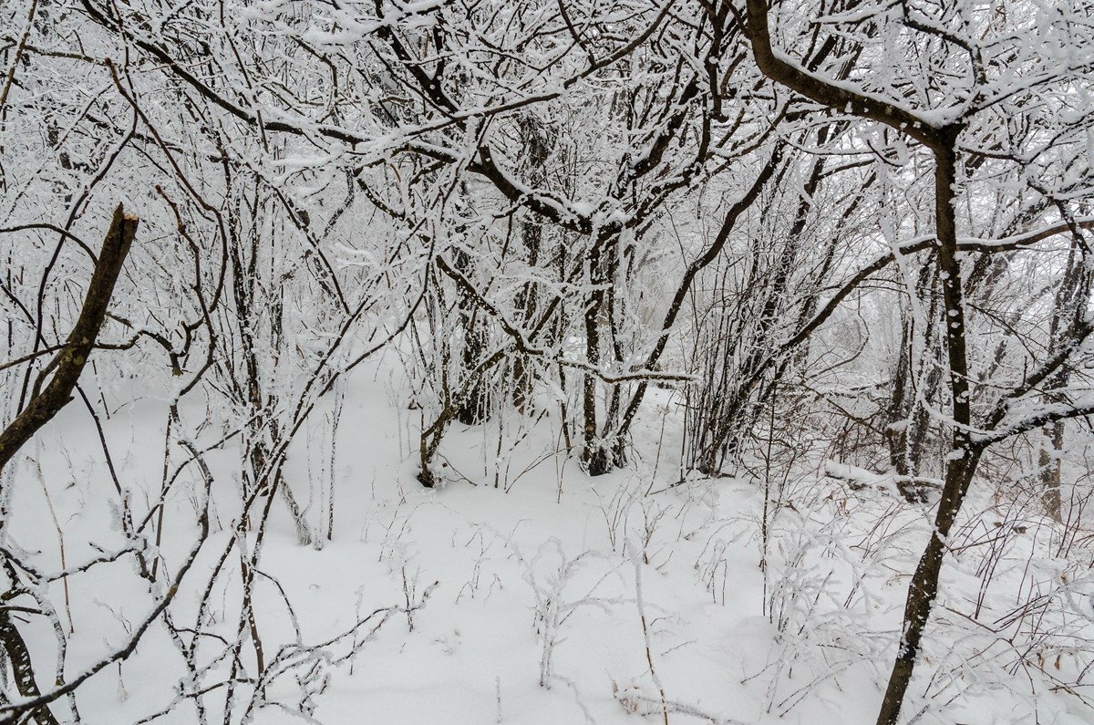 春节游汉中龙头山随拍二
