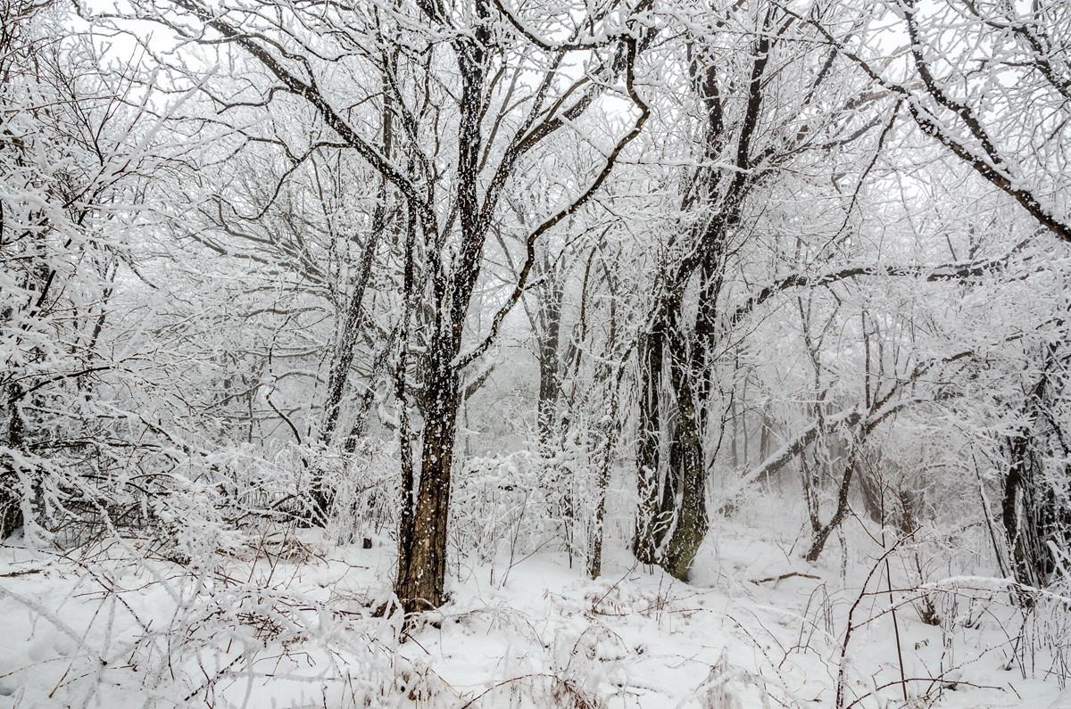 春节游汉中龙头山随拍二