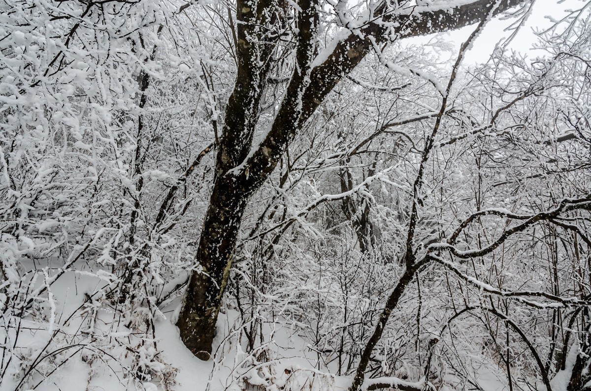 春节游汉中龙头山随拍二