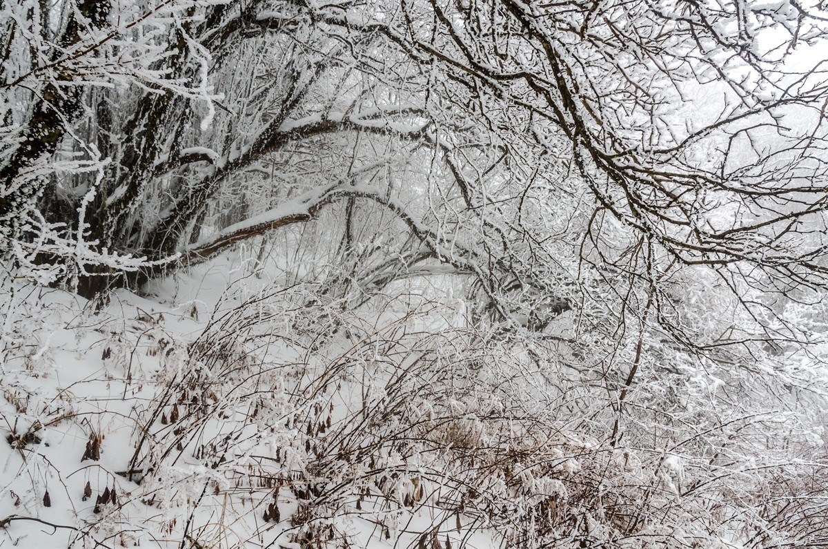 春节游汉中龙头山随拍二