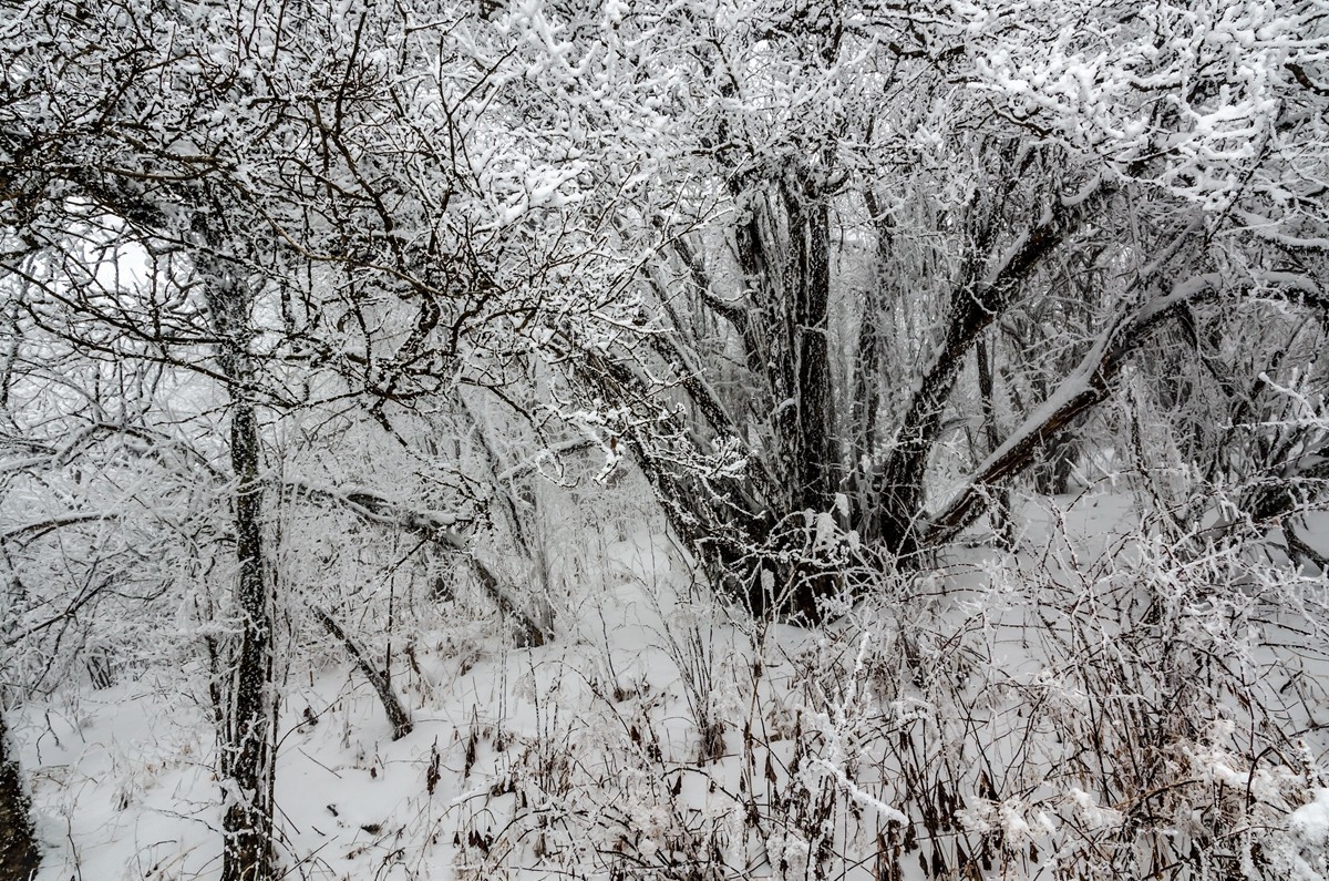 春节游汉中龙头山随拍二