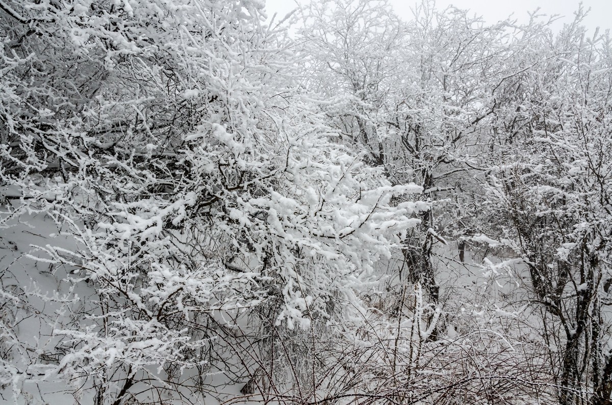 春节游汉中龙头山随拍二