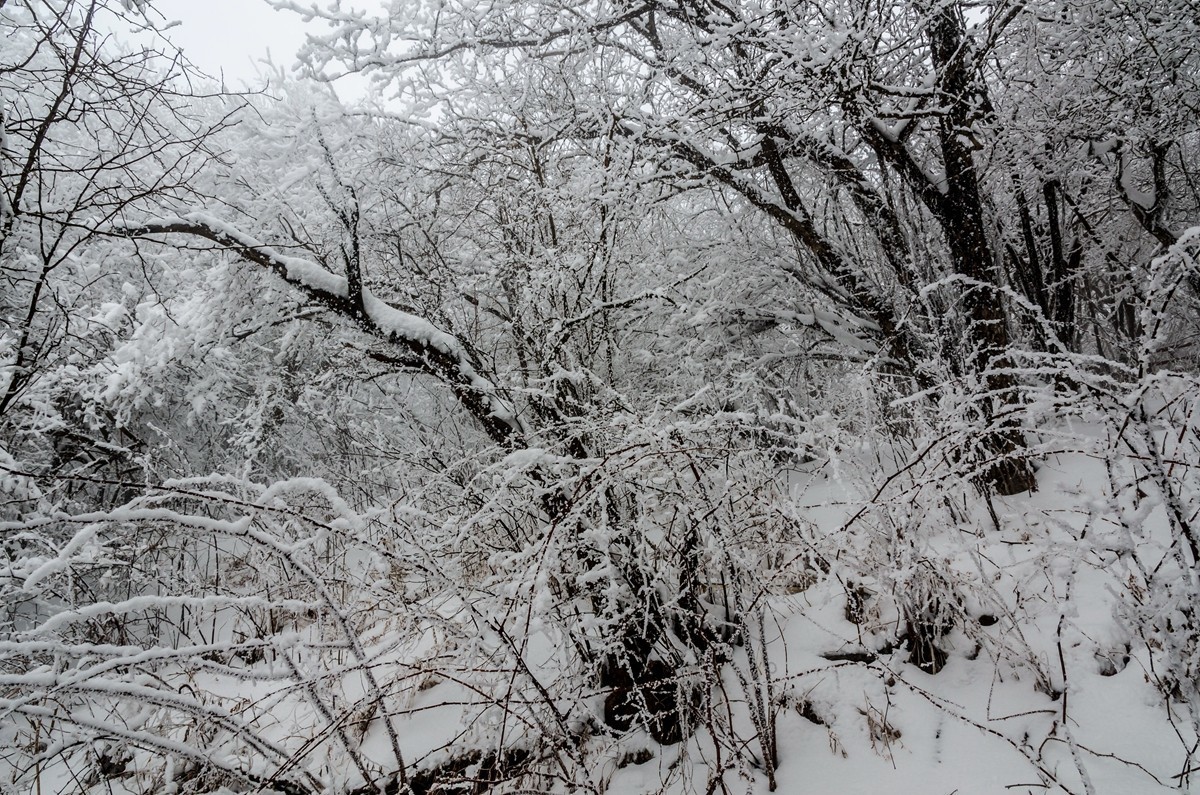 春节游汉中龙头山随拍二