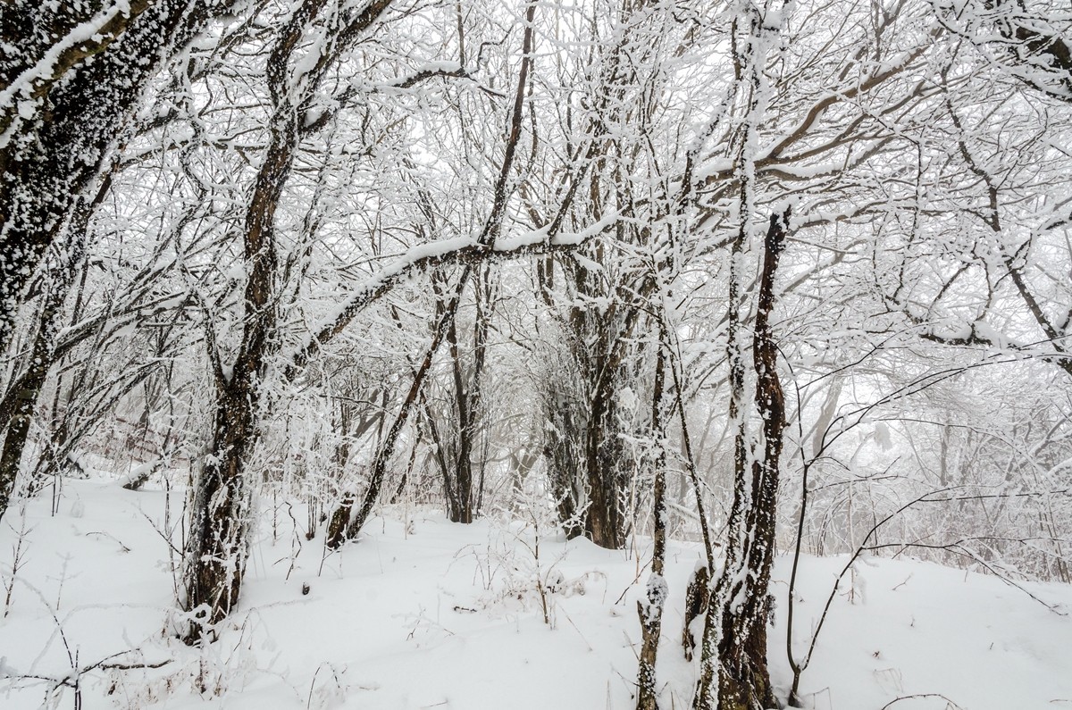 春节游汉中龙头山随拍二