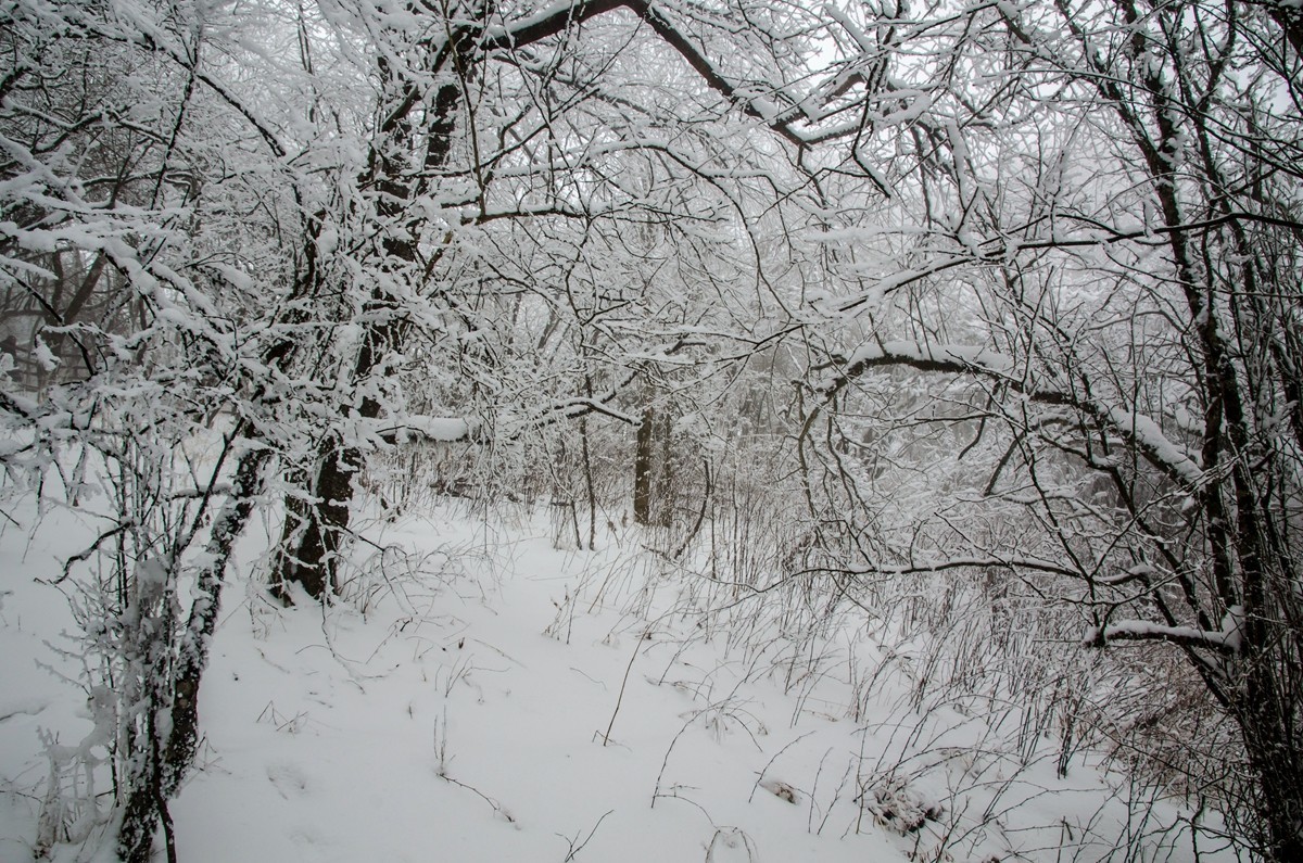春节游汉中龙头山随拍二