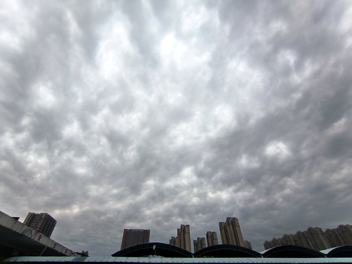 漫步星城 走街串巷（474）盛夏无蝉鸣