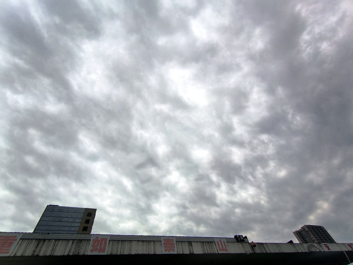 漫步星城 走街串巷（474）盛夏无蝉鸣