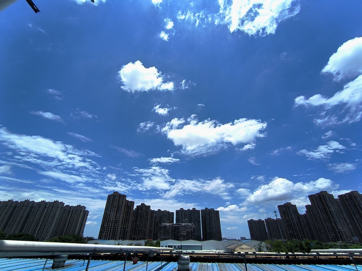 漫步星城 走街串巷（474）盛夏无蝉鸣