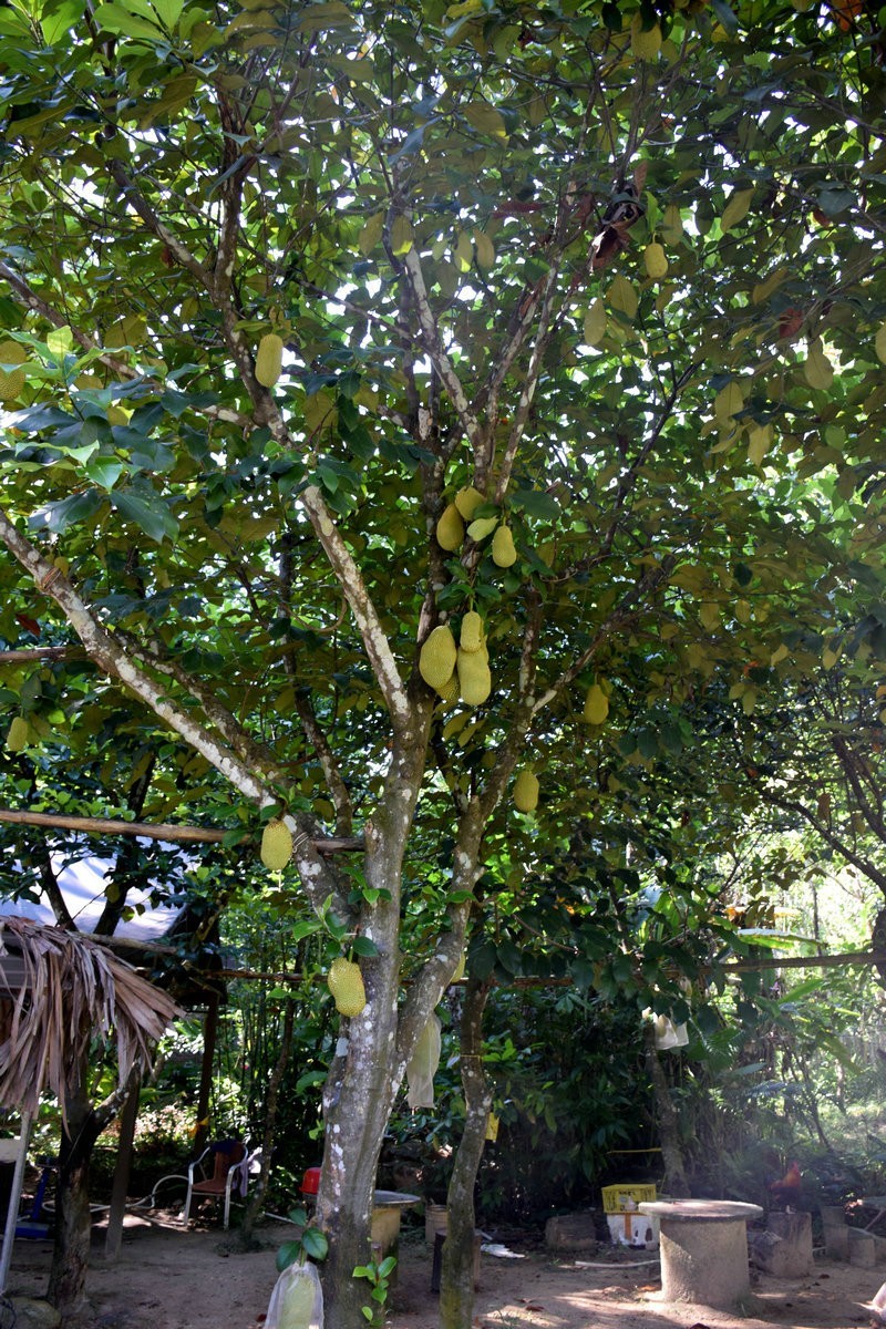 2024夏 海南环岛行（72）到达日月湾