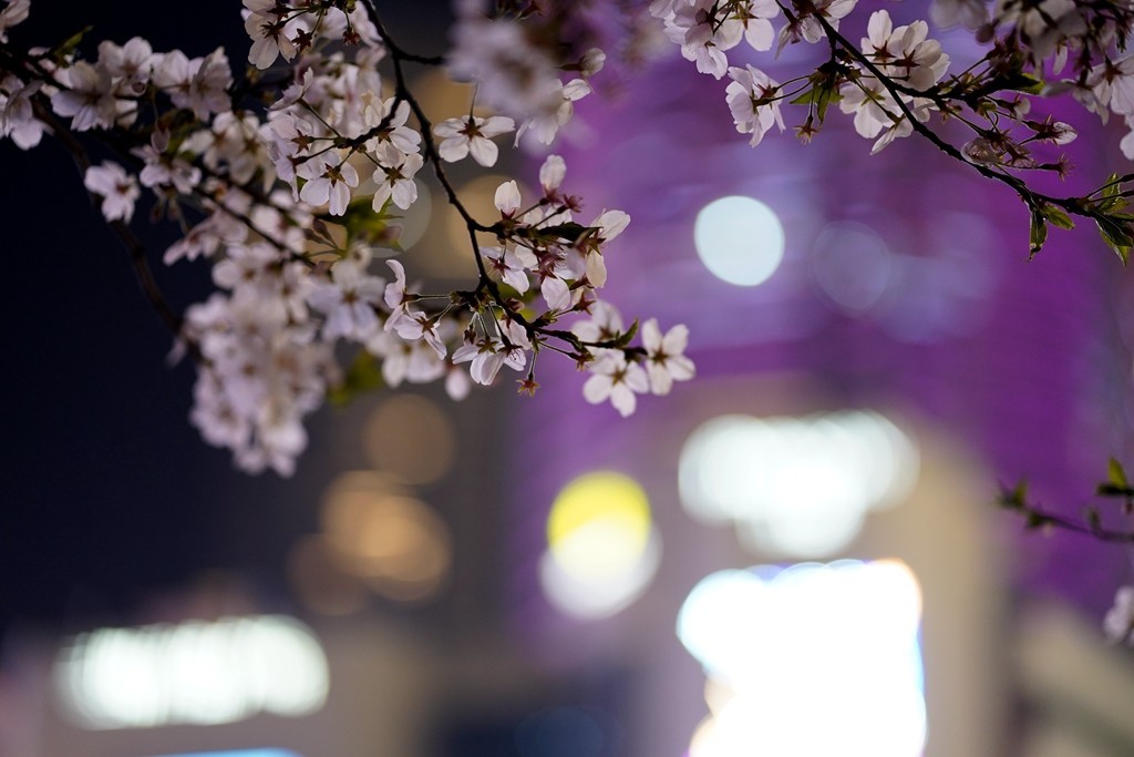 无锡三阳广场地铁口网红打卡