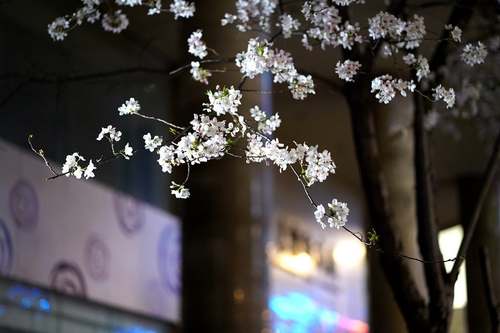 无锡三阳广场地铁口网红打卡