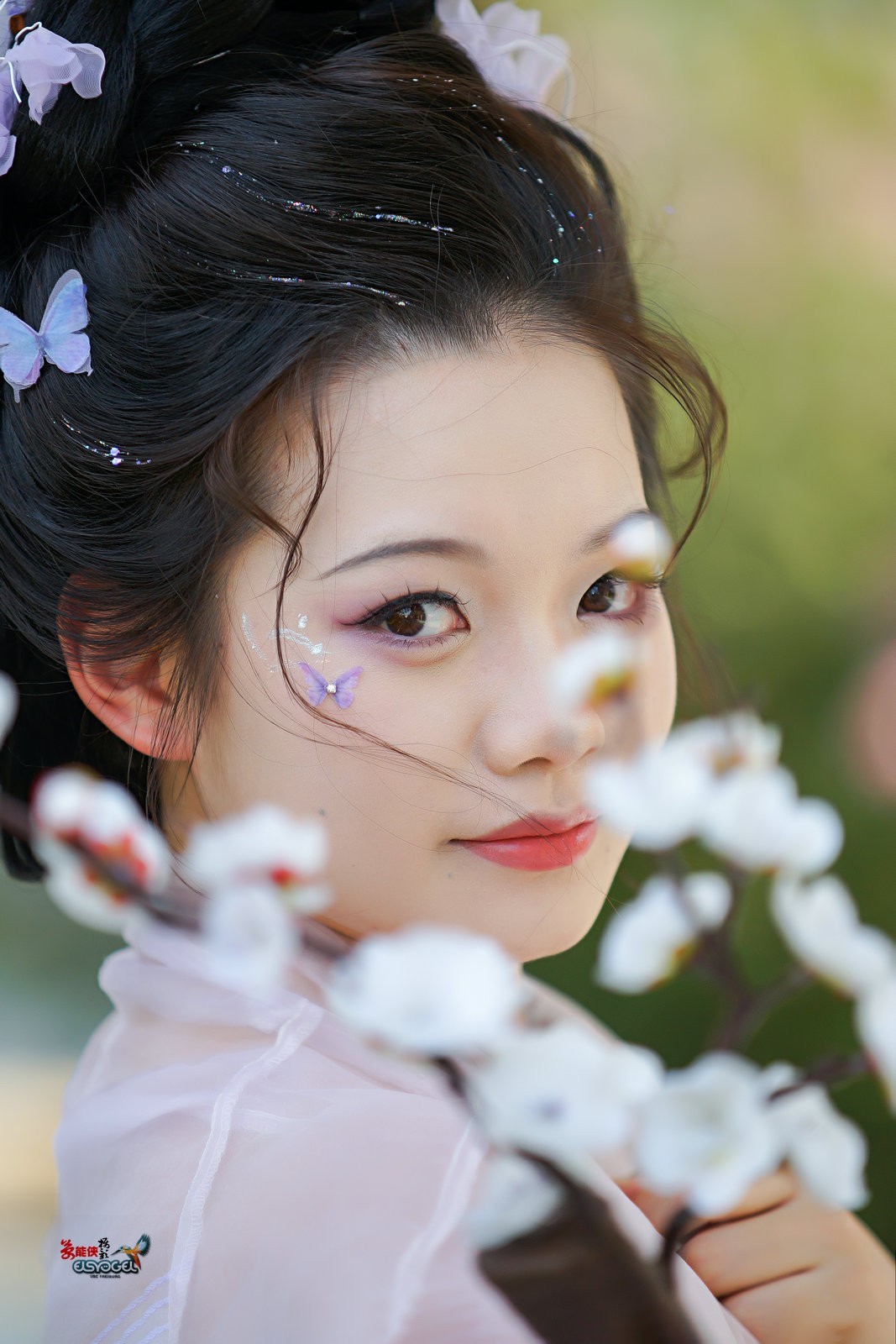 【春日燕】---小越