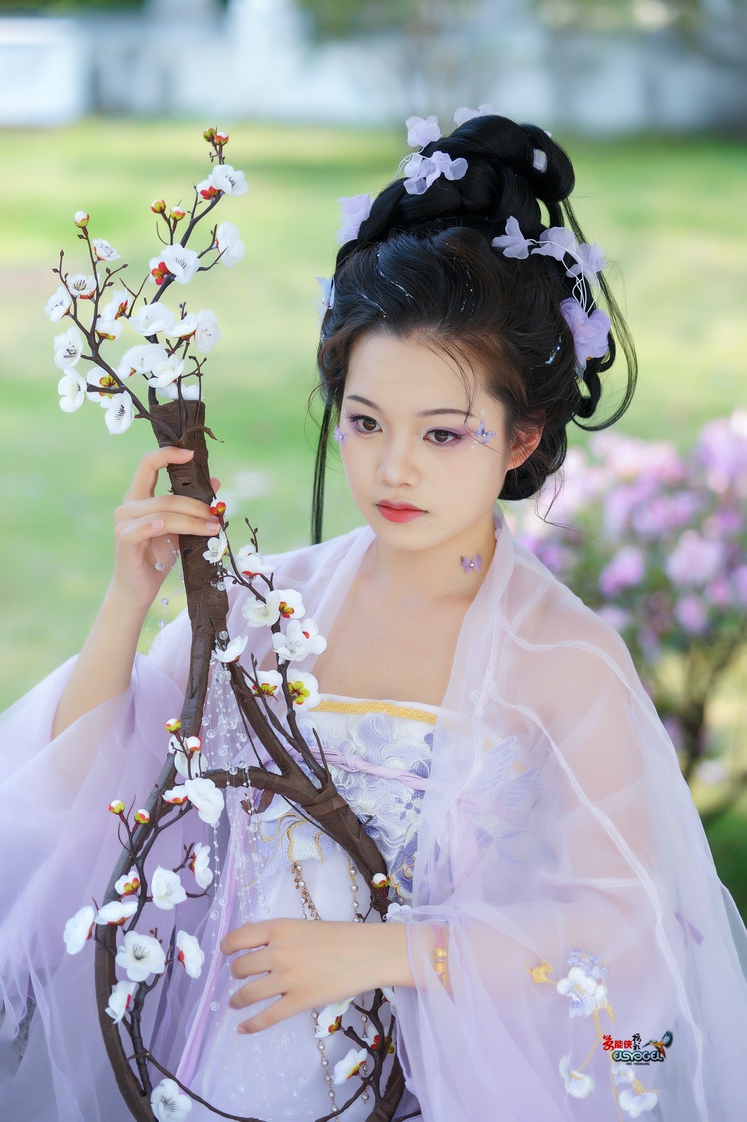 【春日燕】---小越