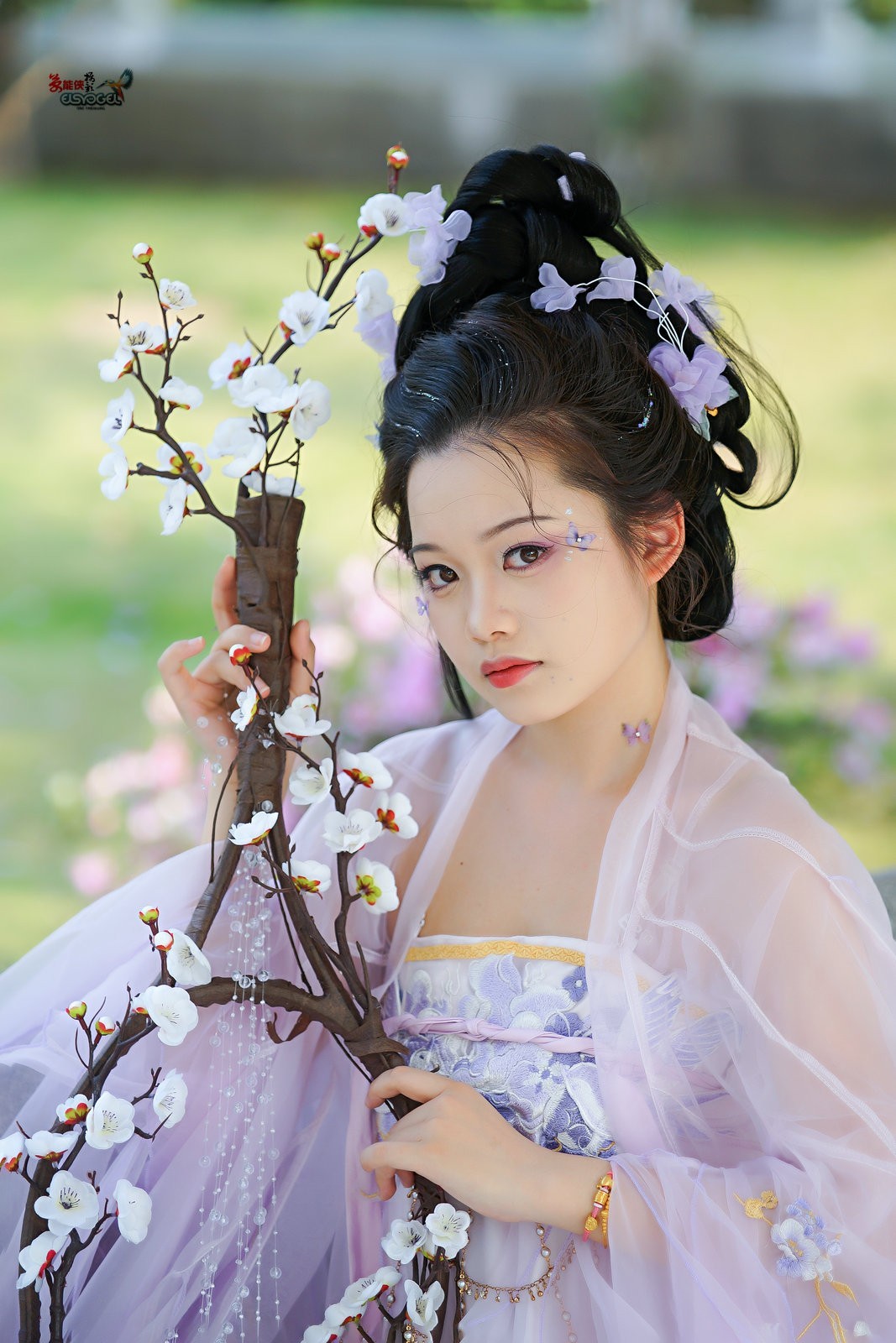 【春日燕】---小越