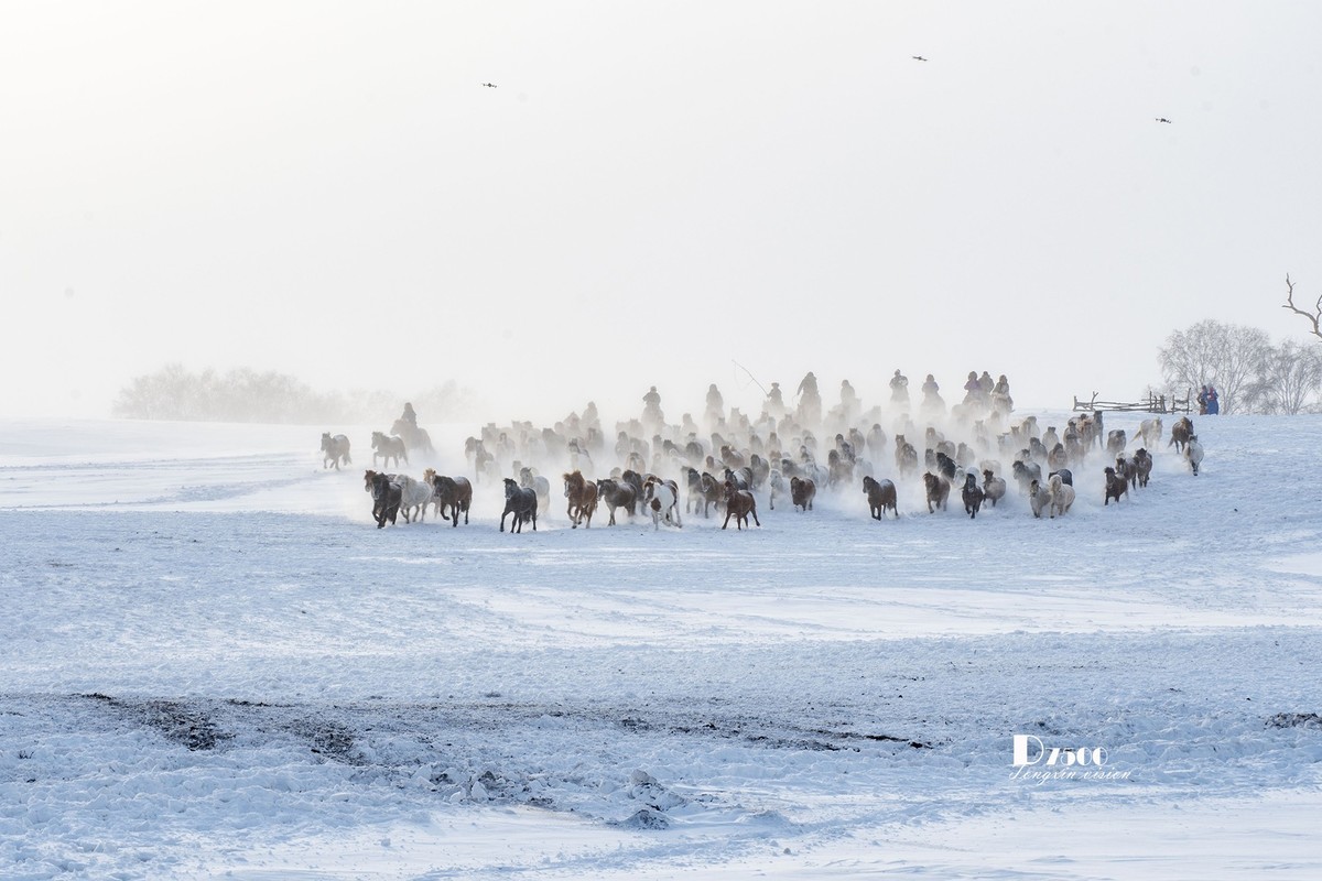 策马奔腾（53）