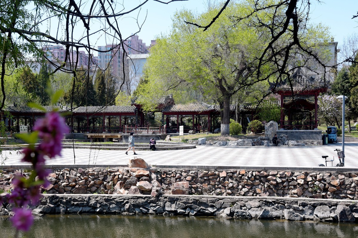 泰和园随拍（续）