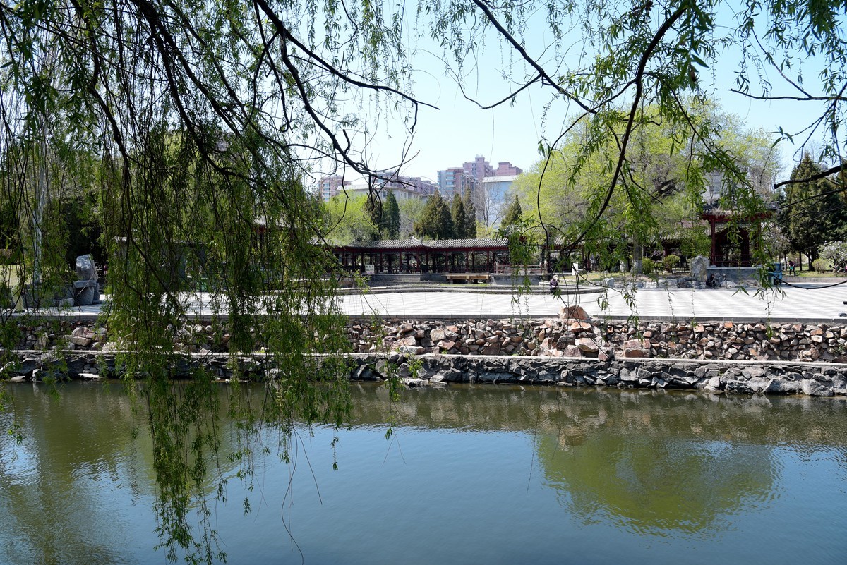 泰和园随拍（续）