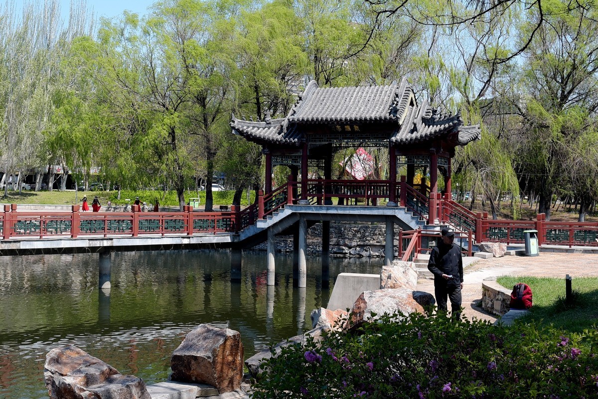 泰和园随拍（续）