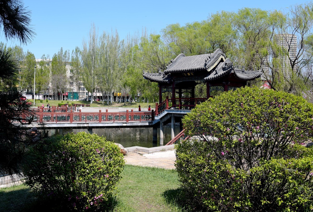 泰和园随拍（续）