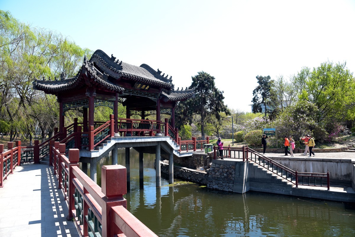 泰和园随拍（续）