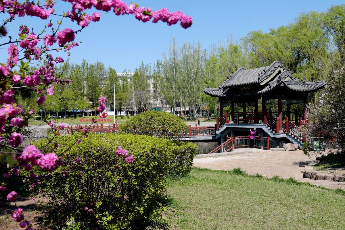 泰和园随拍（续）