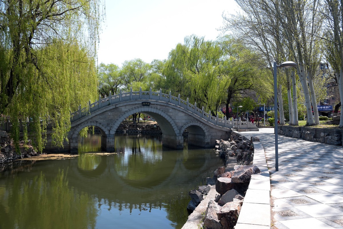 泰和园随拍（续）