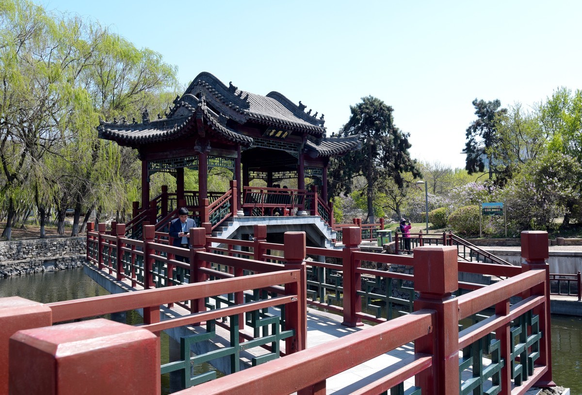 泰和园随拍（续）