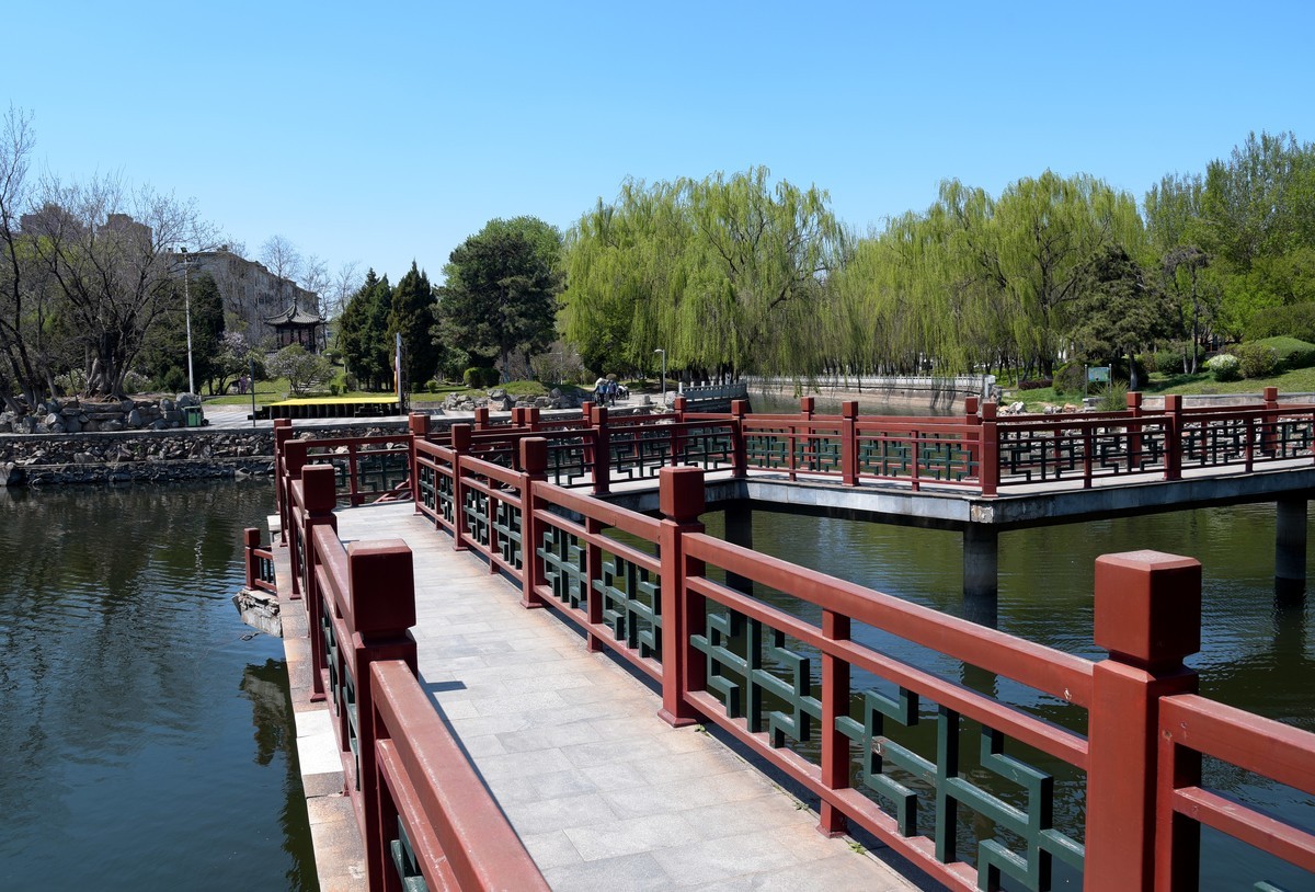 泰和园随拍（续）