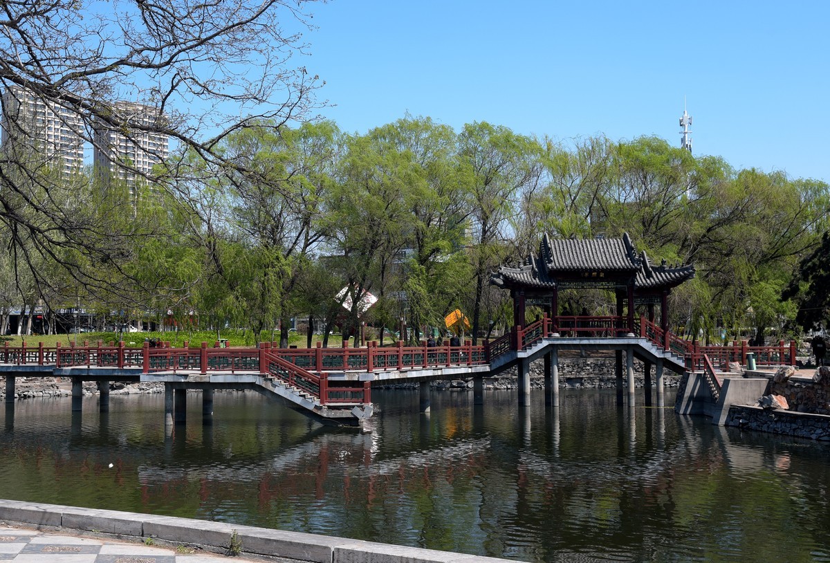 泰和园随拍（续）