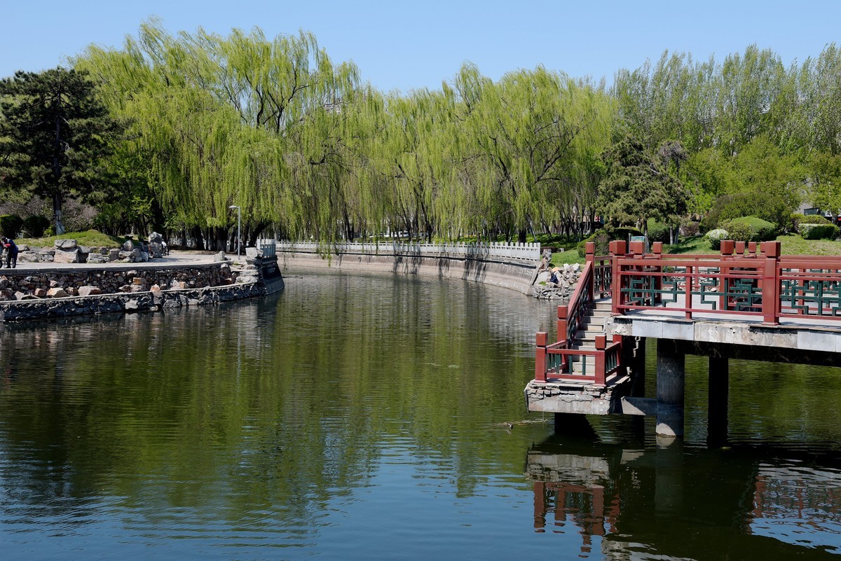 泰和园随拍（续）