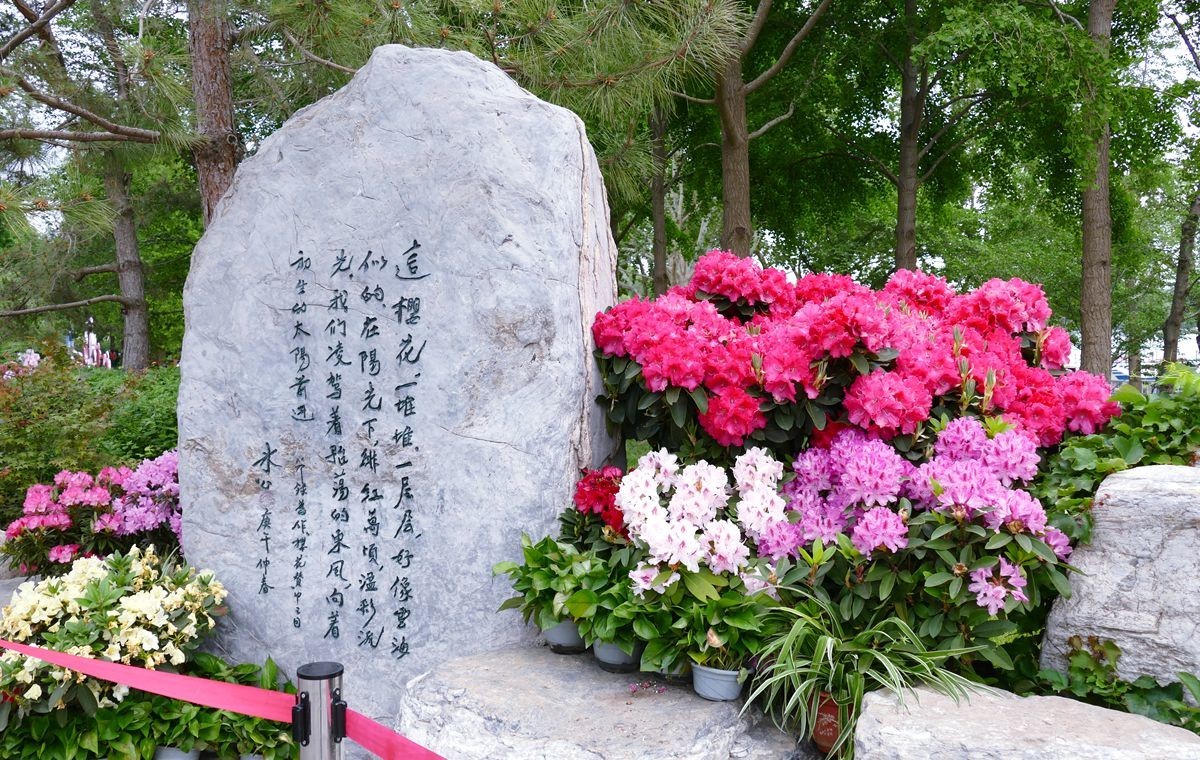 玉渊潭公园【一】