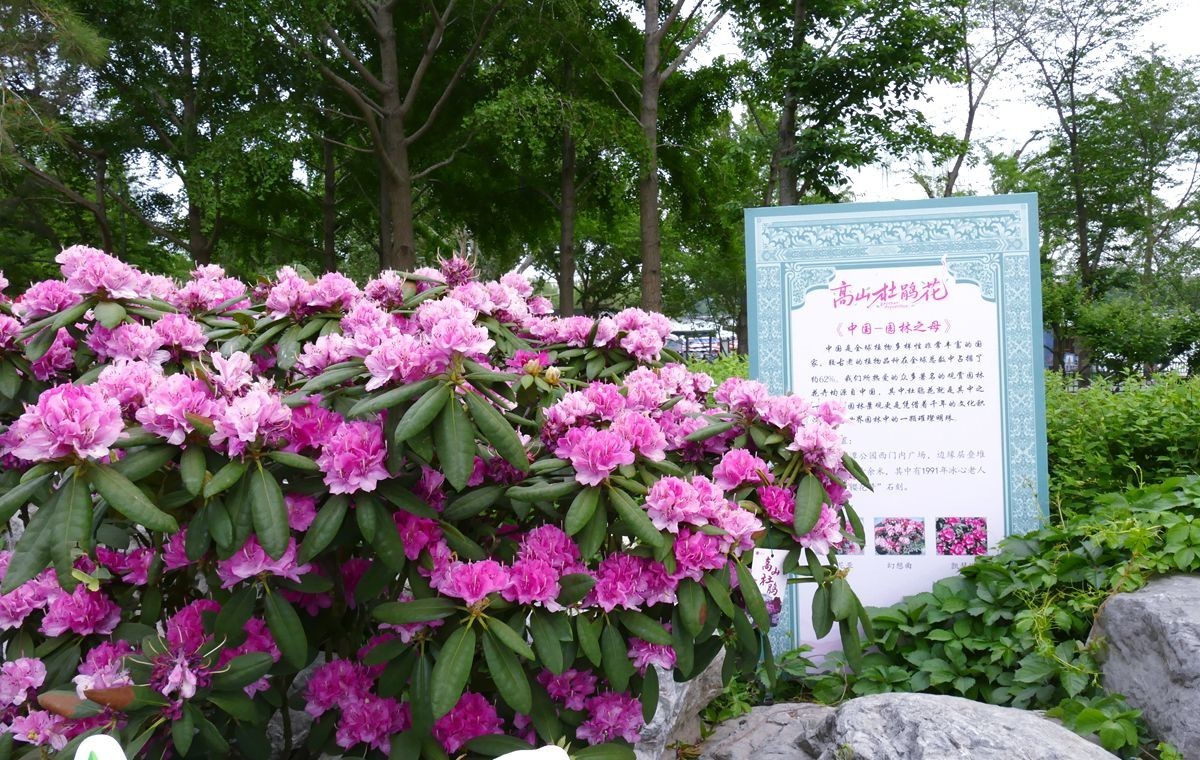 玉渊潭公园【一】