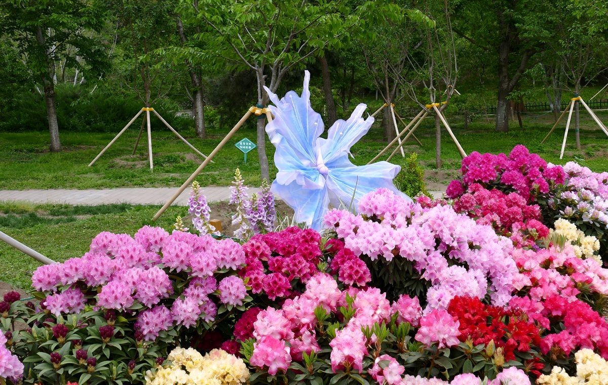 玉渊潭公园【一】