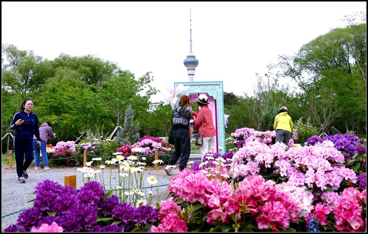 玉渊潭公园【一】