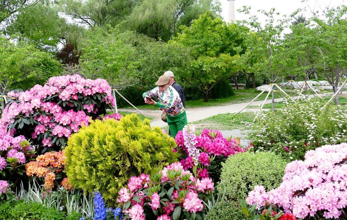 玉渊潭公园【一】