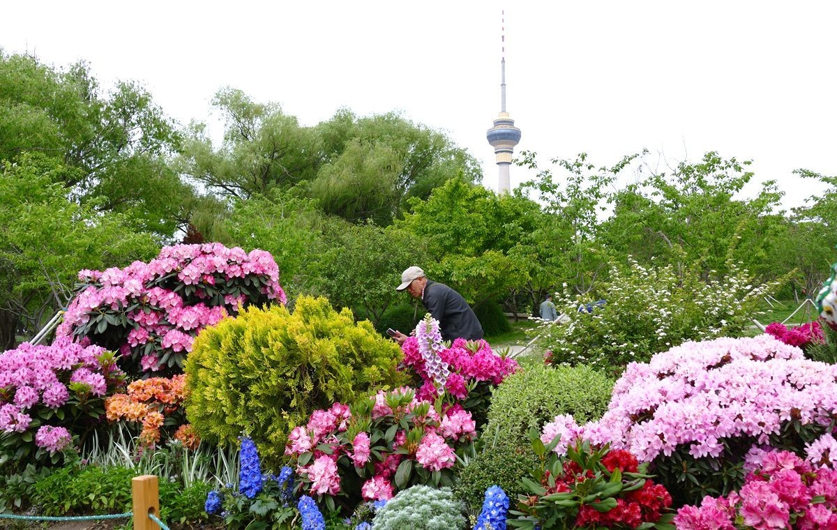 玉渊潭公园【一】