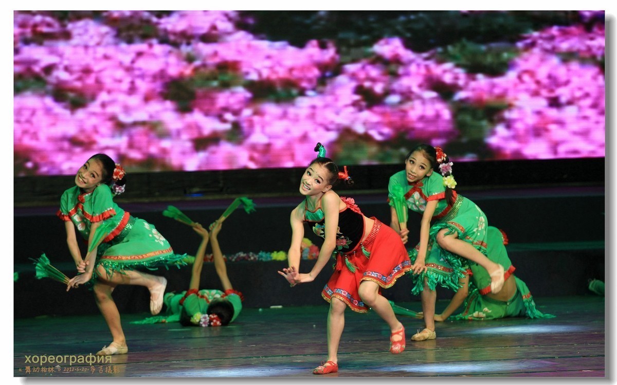 舞蹈—美丽的祖国（第二集30张）